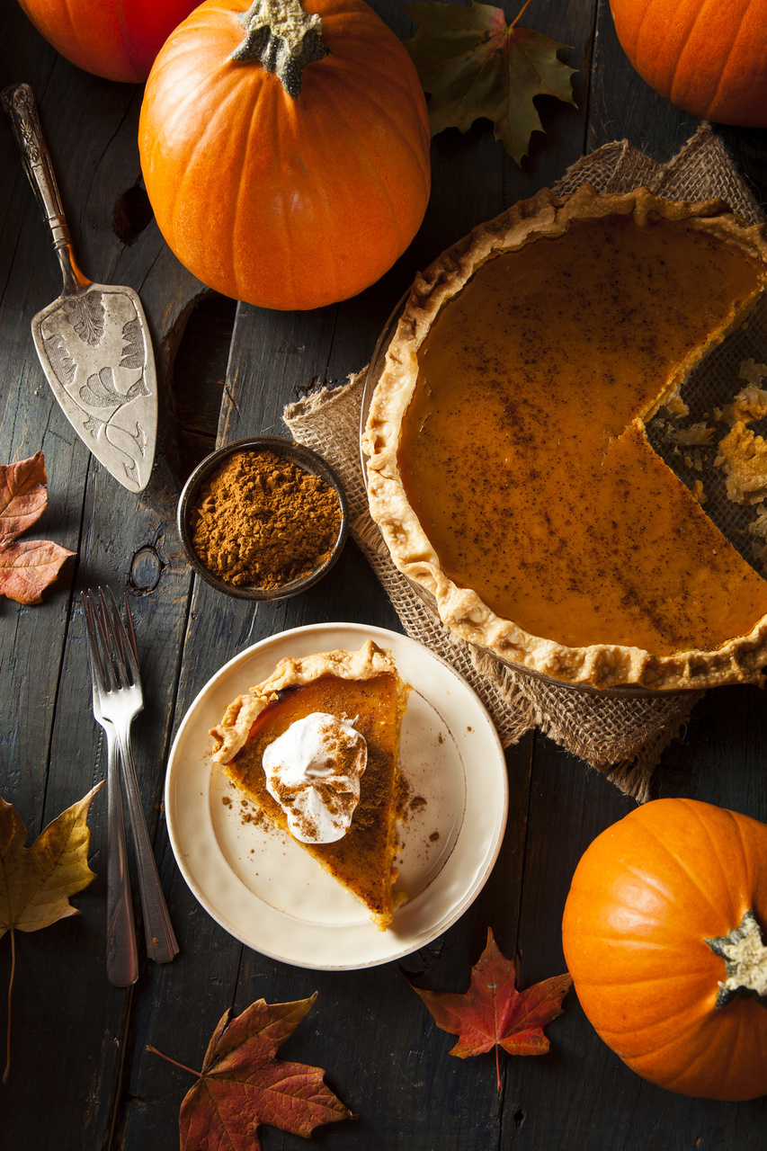 Thanksgiving Recipe: Perfect Pumpkin Pie